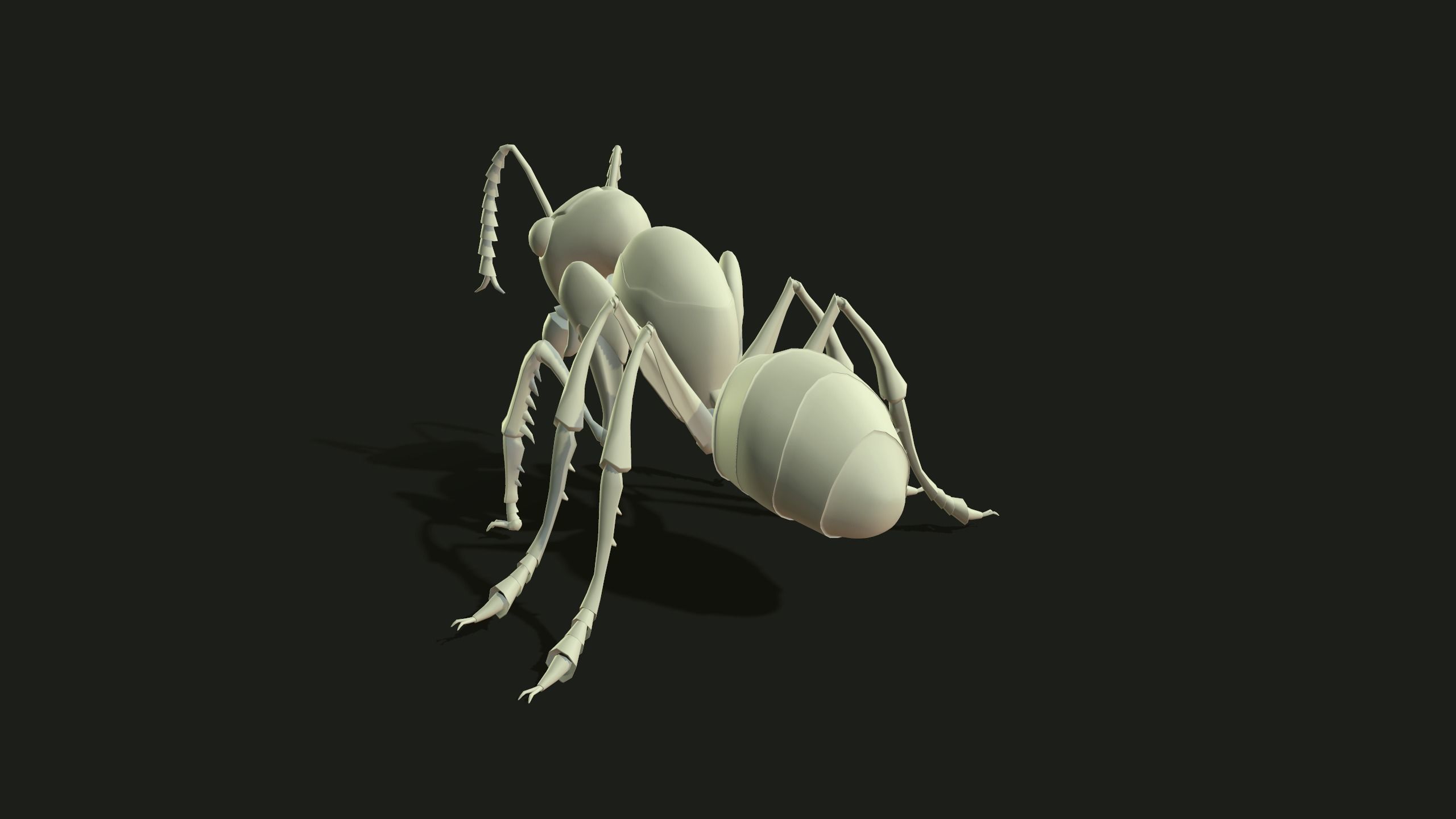 Ant 3dModel insect Low-poly 3D model_1