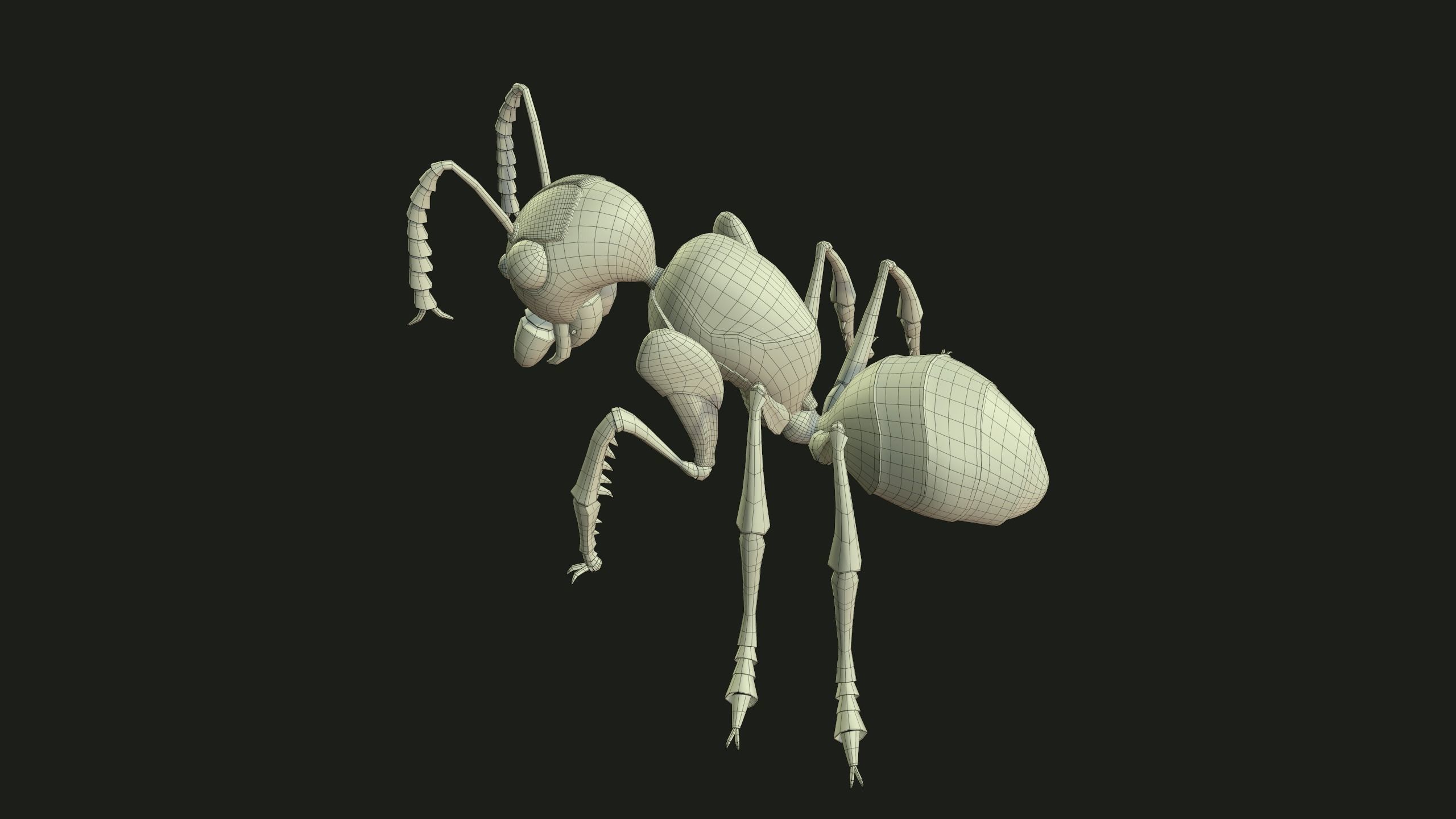 Ant 3dModel insect Low-poly 3D model_10