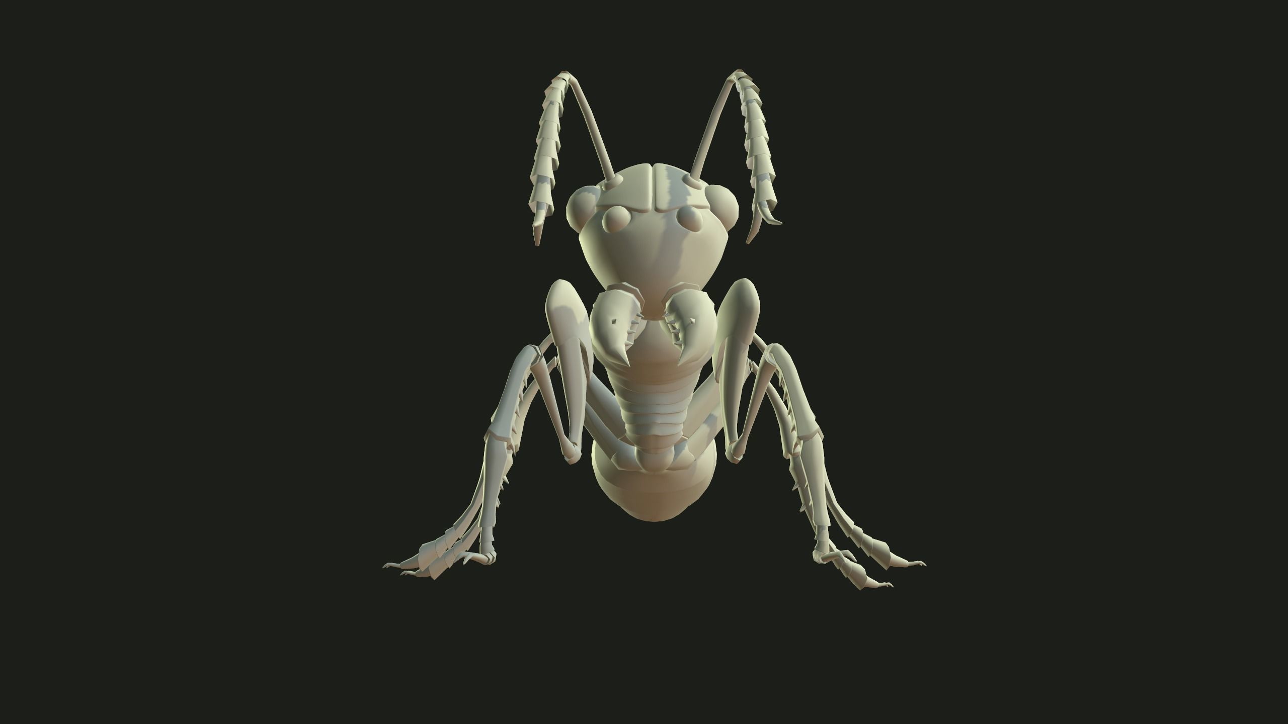 Ant 3dModel insect Low-poly 3D model_7