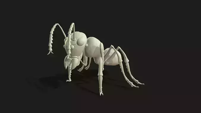 Ant 3dModel insect