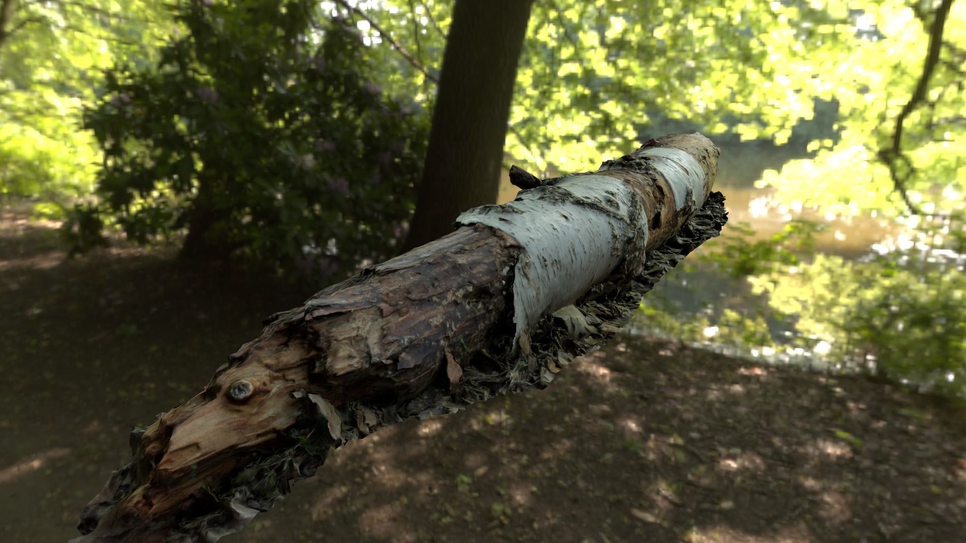 Fallen birch stump Low-poly 3D model_4