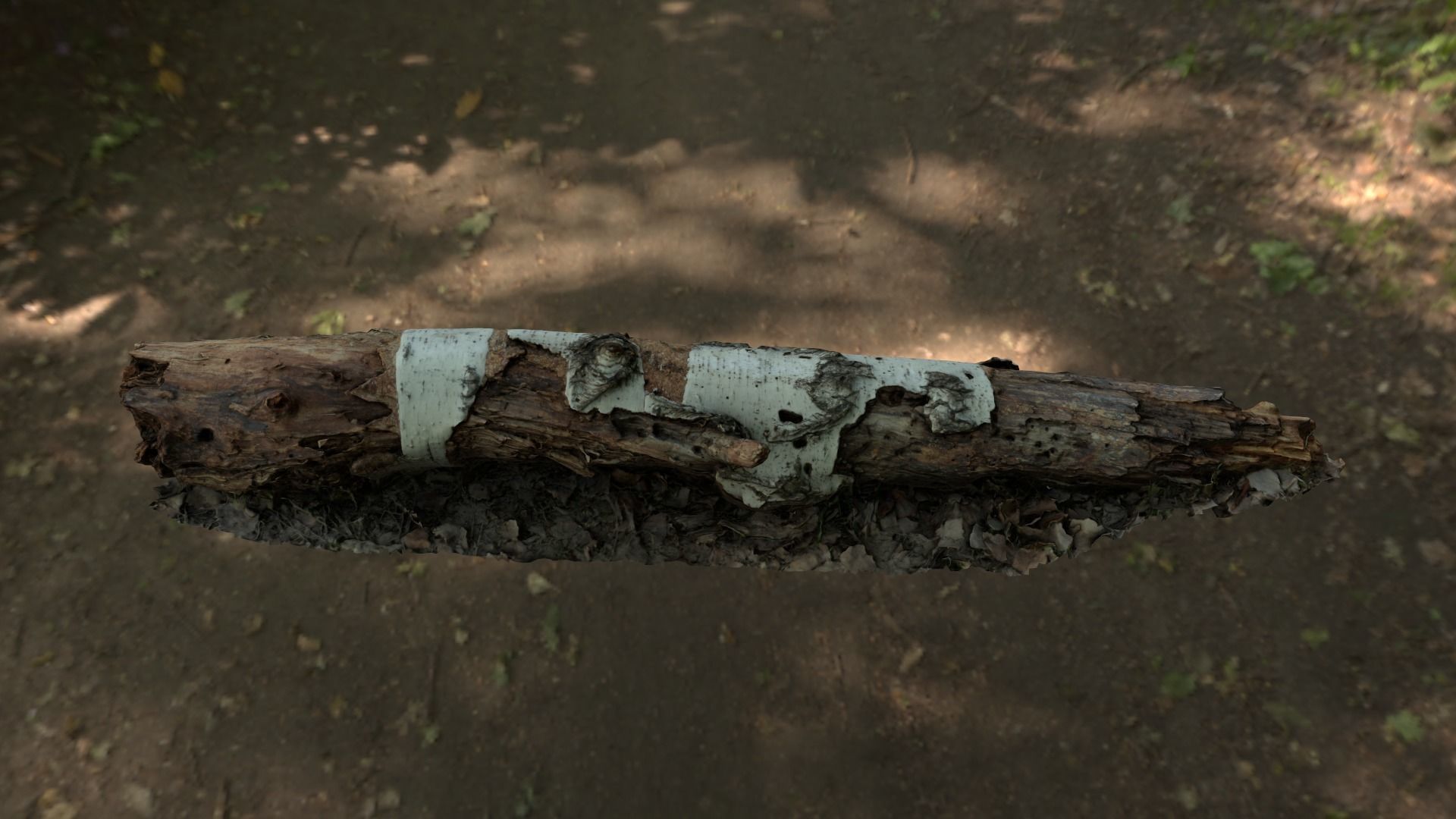 Fallen birch stump Low-poly 3D model_2