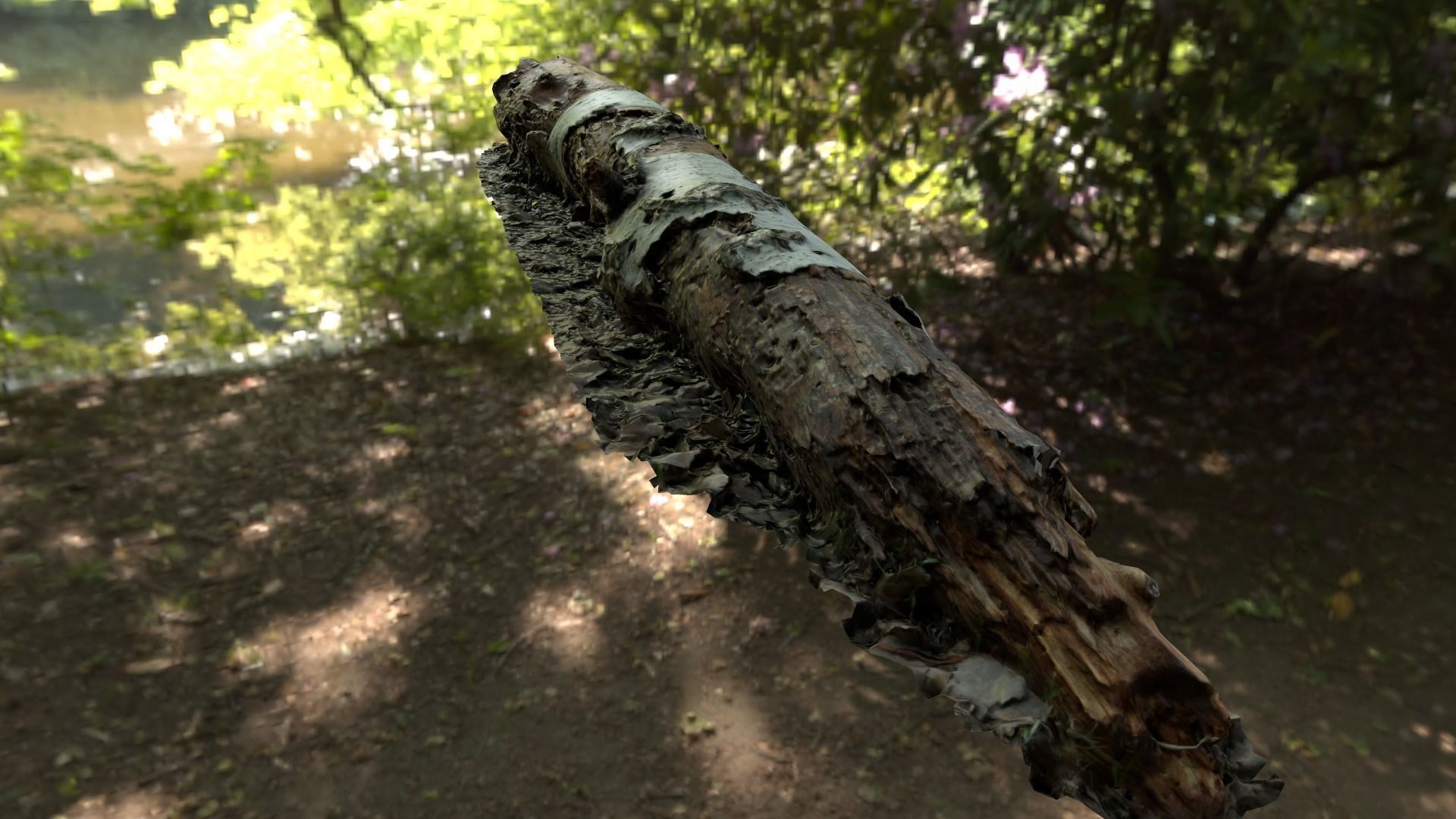 Fallen birch stump Low-poly 3D model_5