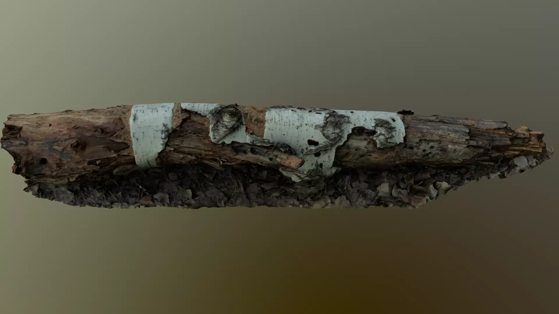 Fallen birch stump Low-poly 3D model_0