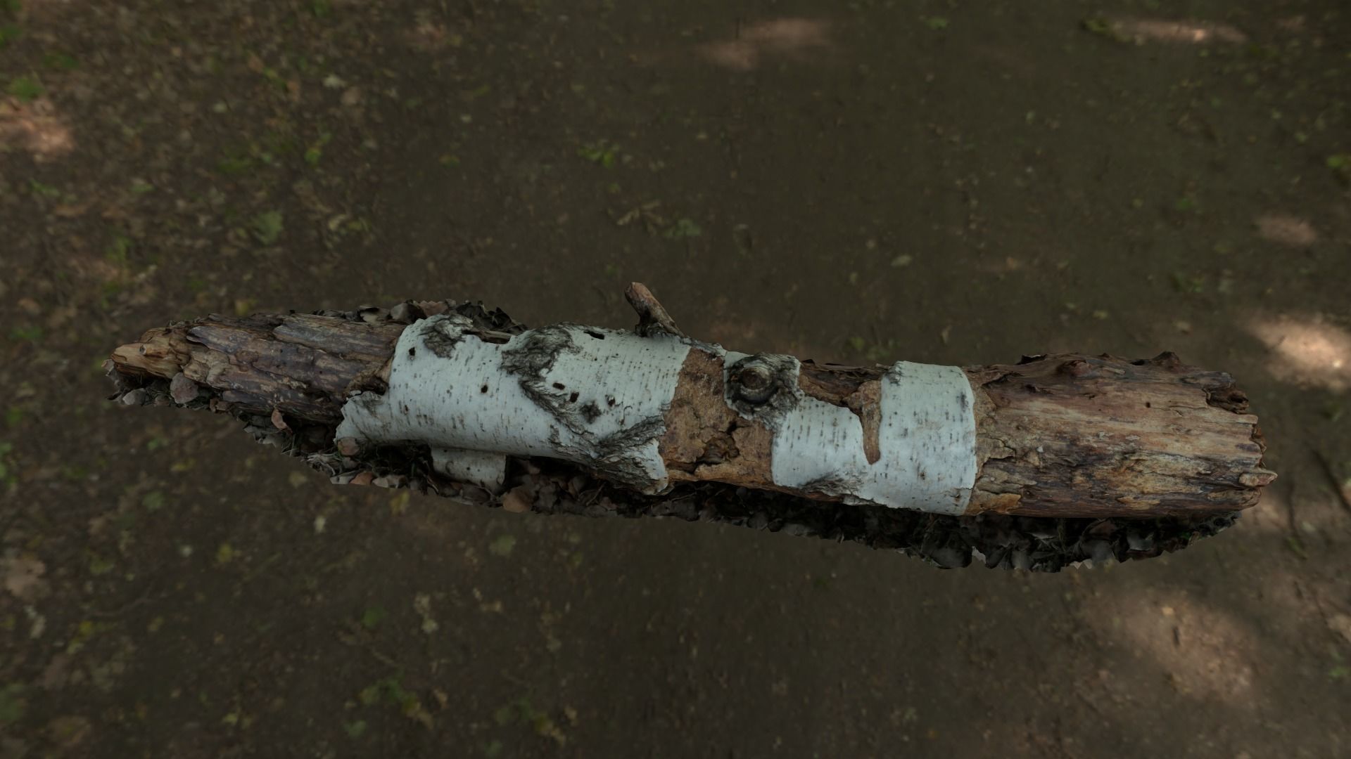 Fallen birch stump Low-poly 3D model_3