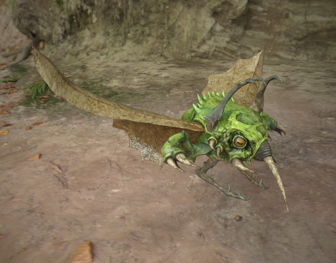 Grapfrit from the Ancestral Trail Free 3D model_2