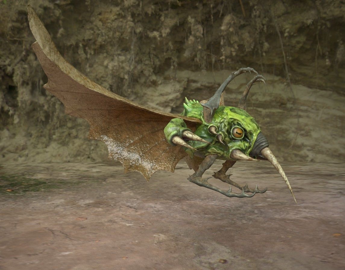 Grapfrit from the Ancestral Trail Free 3D model_1