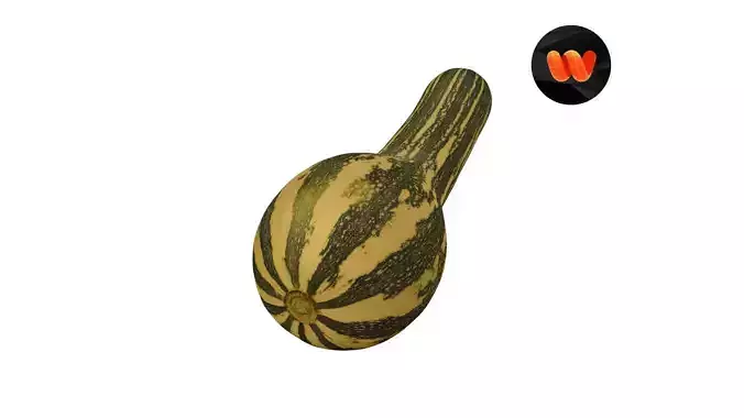 Squash Cucurbita moschata - Extreme Definition Scanned