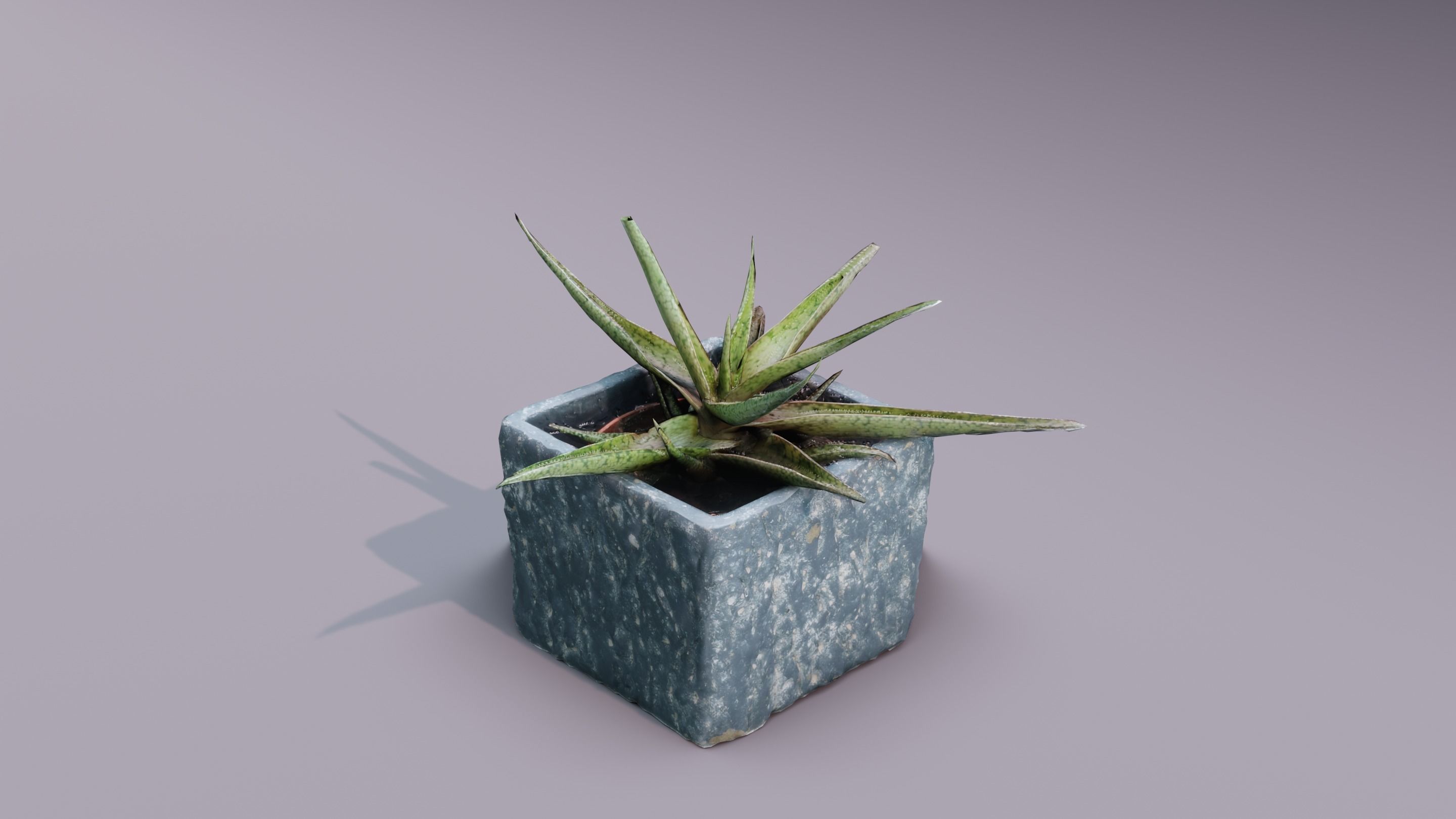 Plant 3D Scan - The Aloe Low-poly 3D model_1