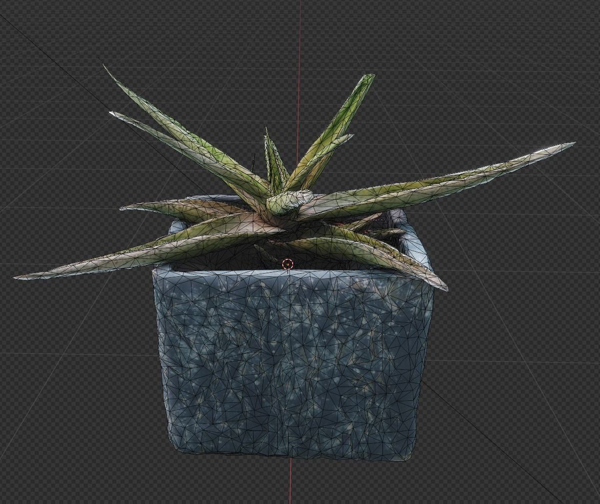 Plant 3D Scan - The Aloe Low-poly 3D model_13