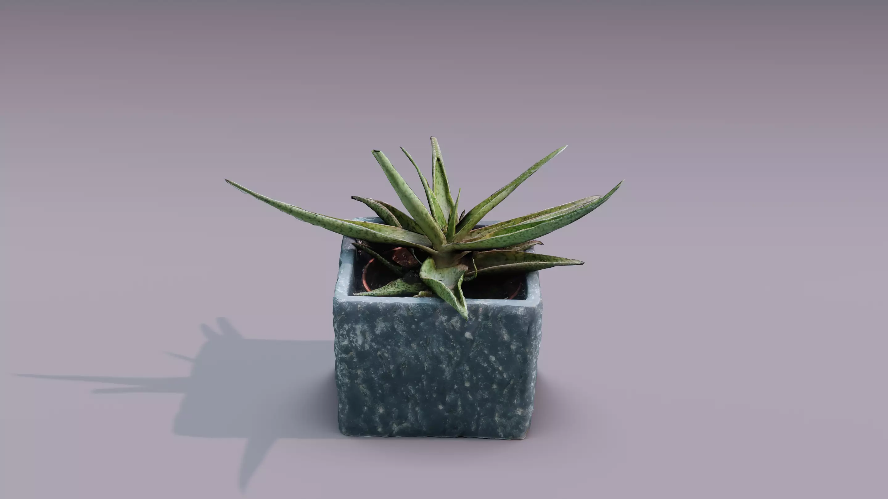 Plant 3D Scan - The Aloe Low-poly 3D model_0