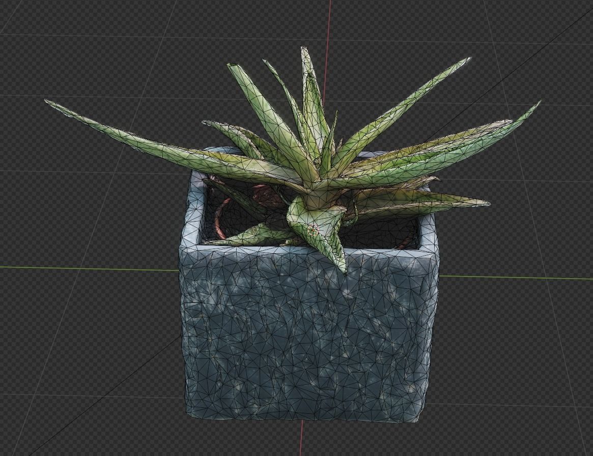 Plant 3D Scan - The Aloe Low-poly 3D model_12