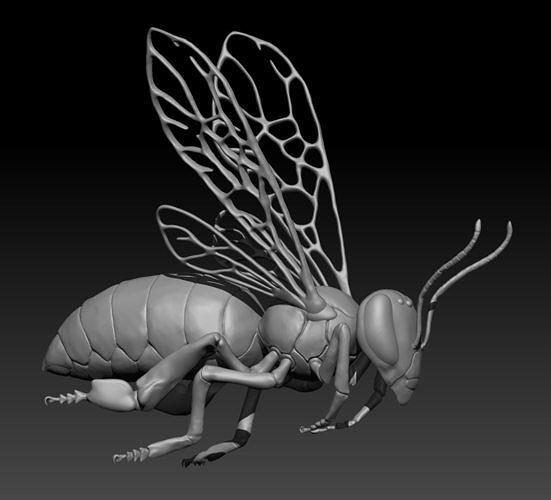 Honey bee in flight Free 3D model