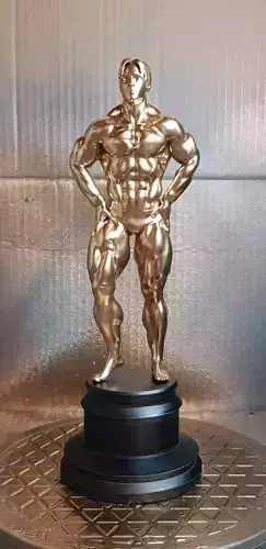 Male Bodybuilder Trophy