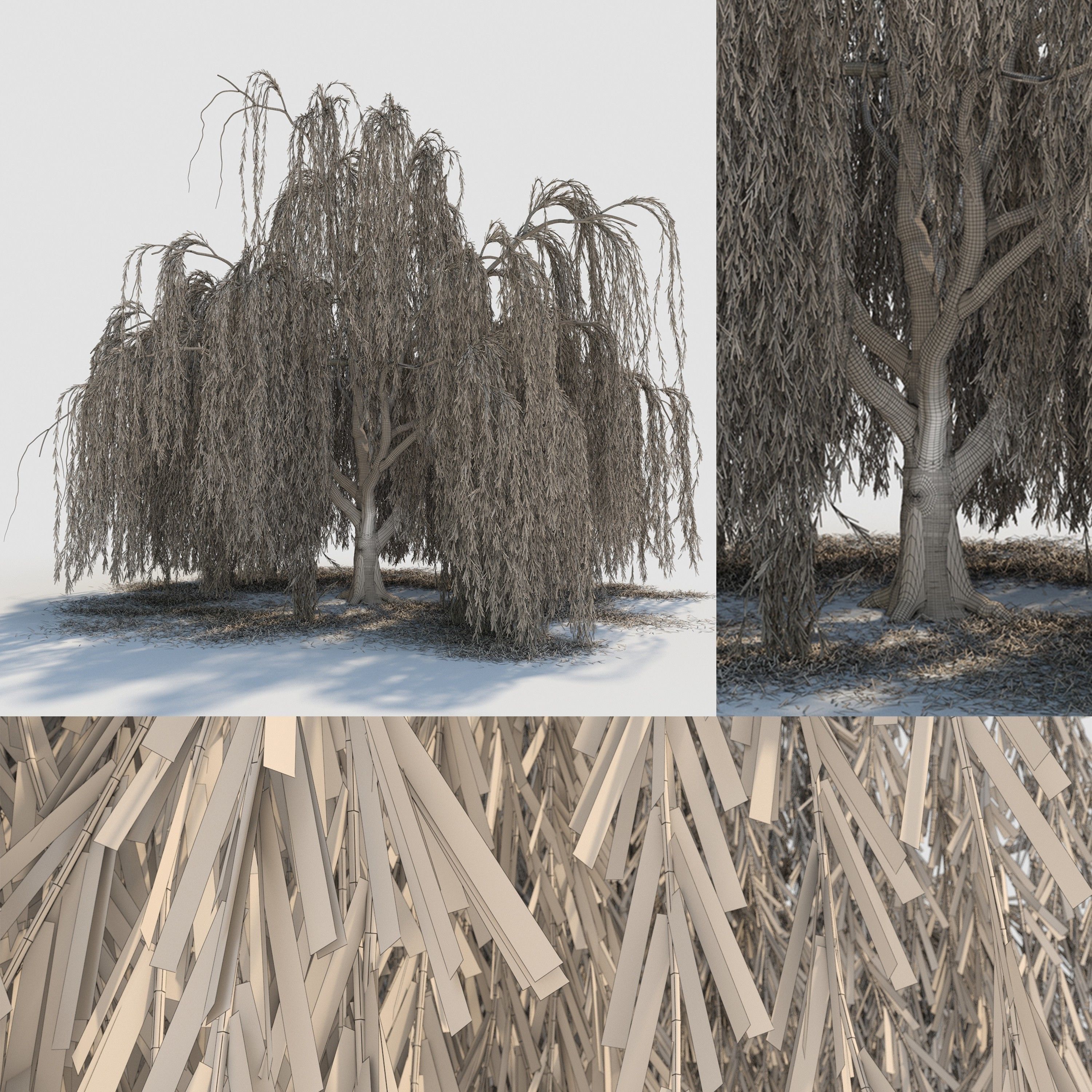 weeping willow tree 3D model_8