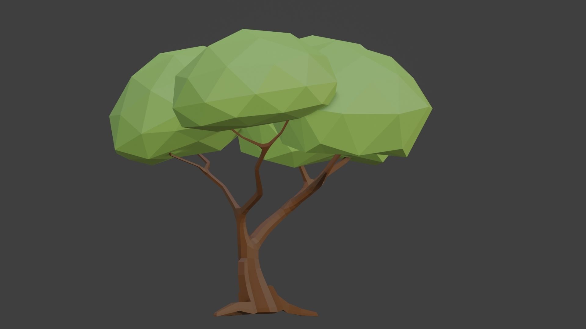 Lowpoly Tree Low-poly 3D model_2