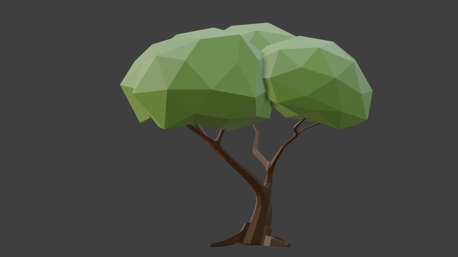 Lowpoly Tree Low-poly 3D model_6