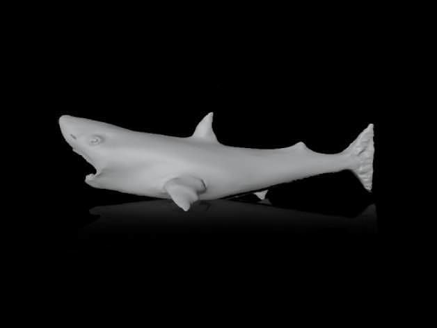 Shark Free 3D print model