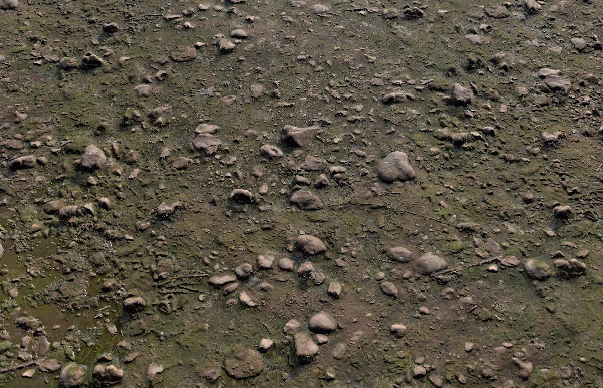 Forest Floor PBR Texture Texture_3