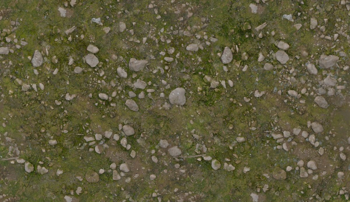 Forest Floor PBR Texture Texture_6