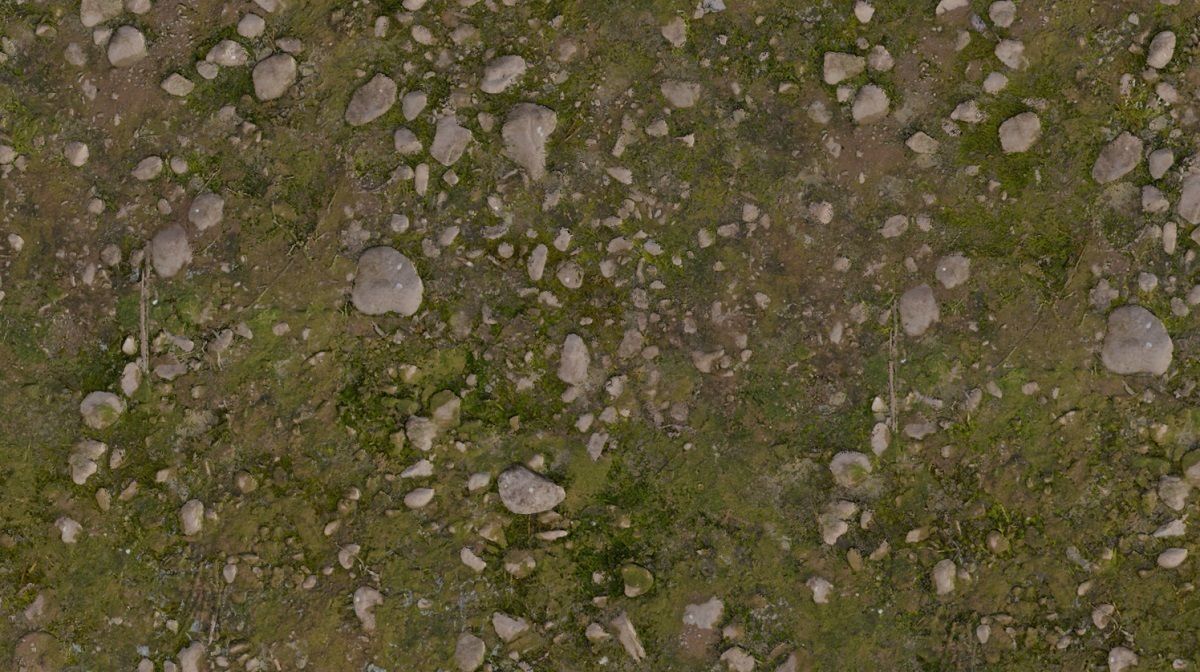 Forest Floor PBR Texture Texture_7