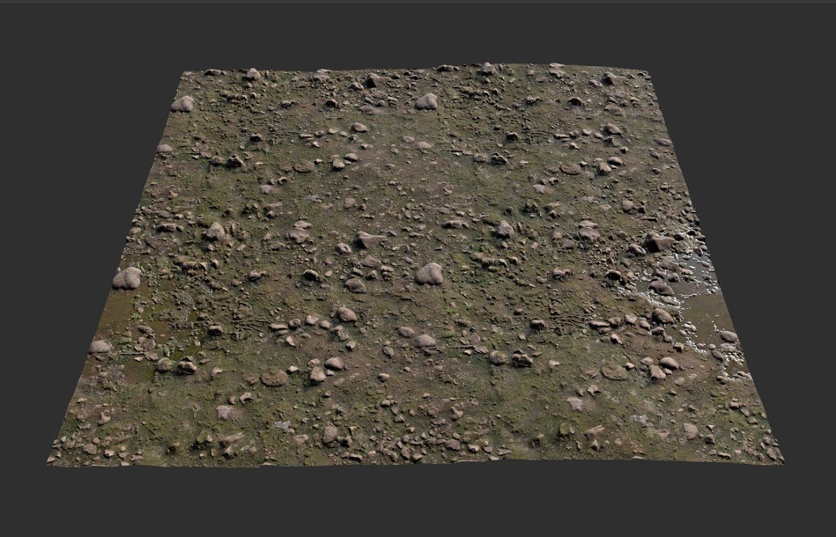 Forest Floor PBR Texture Texture_5