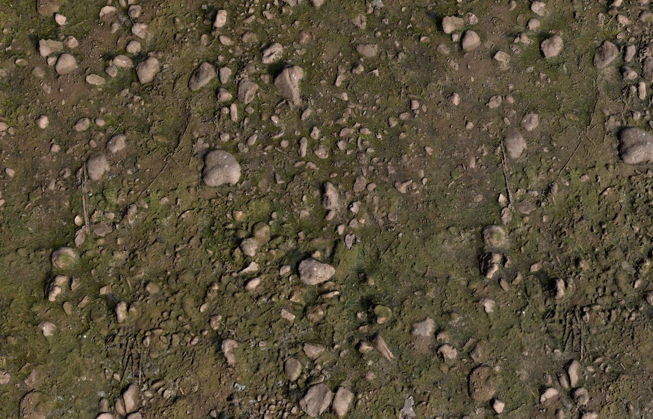 Forest Floor PBR Texture Texture_4