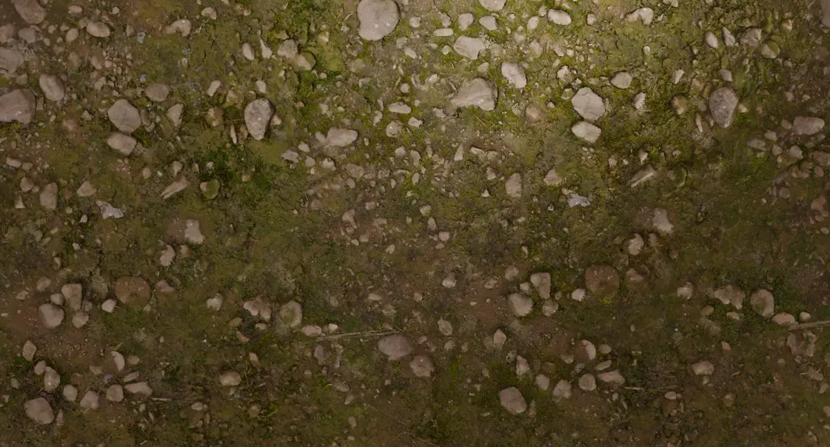 Forest Floor PBR Texture Texture_0