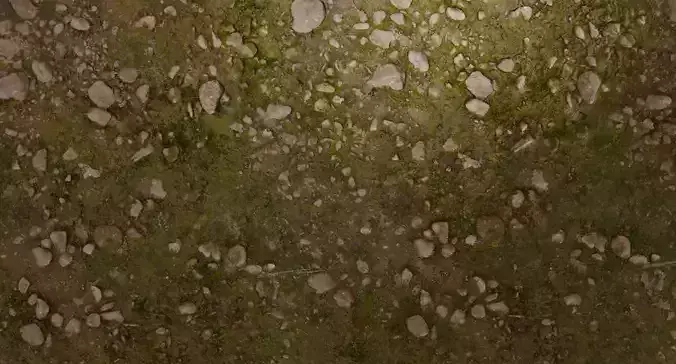 Forest Floor PBR Texture Texture