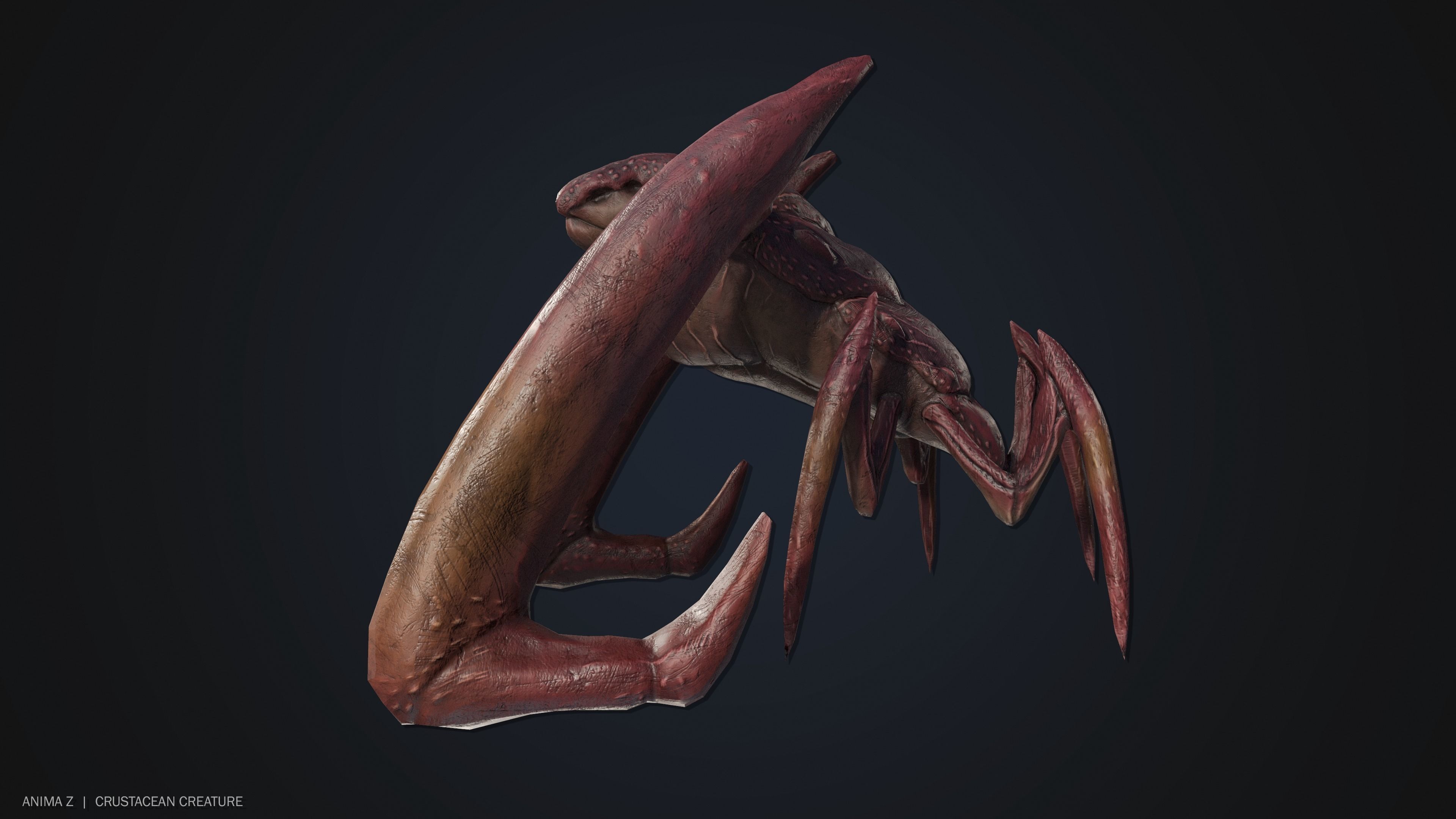 Crustacean creature Low-poly 3D model_7