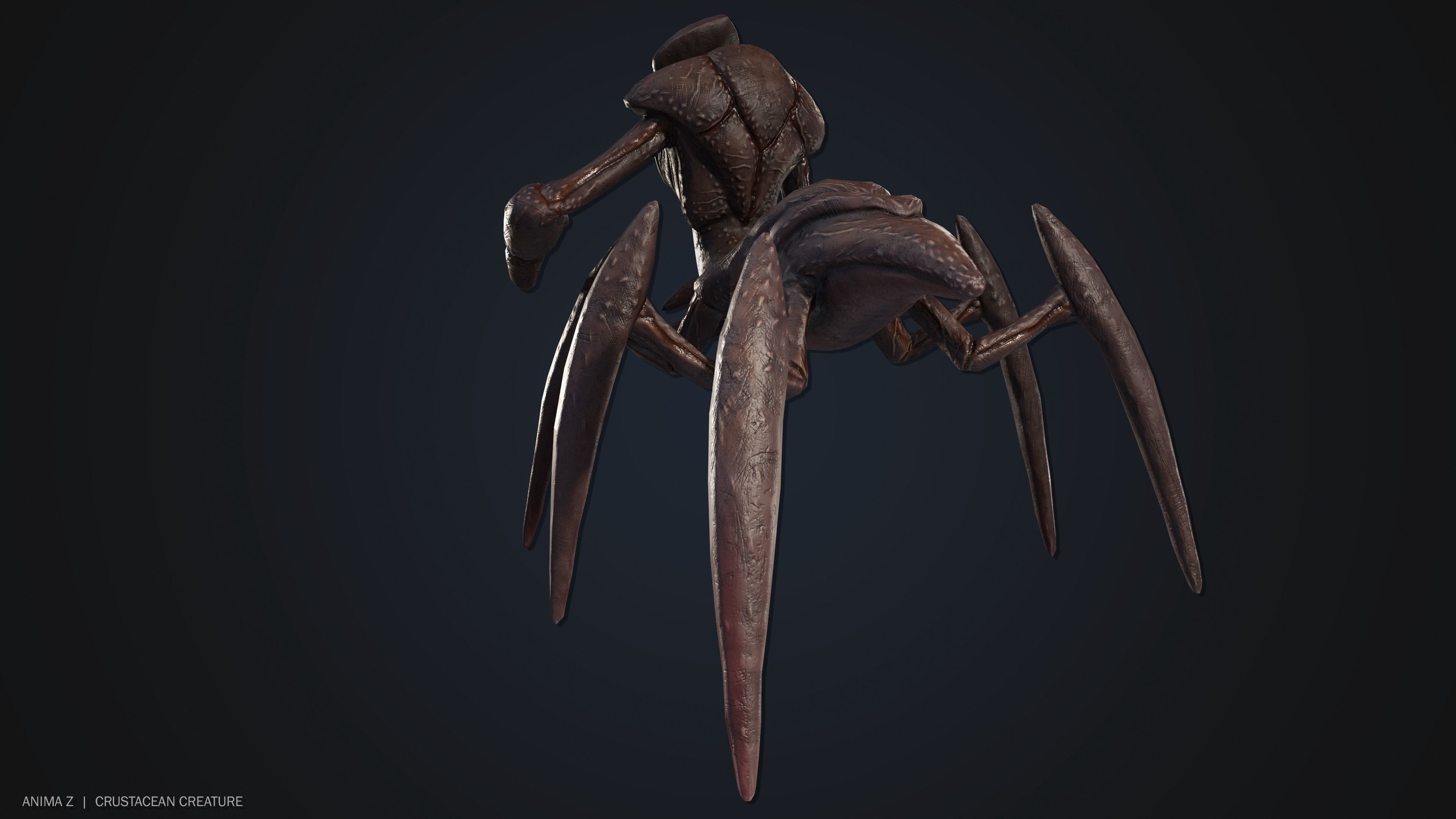 Crustacean creature Low-poly 3D model_5