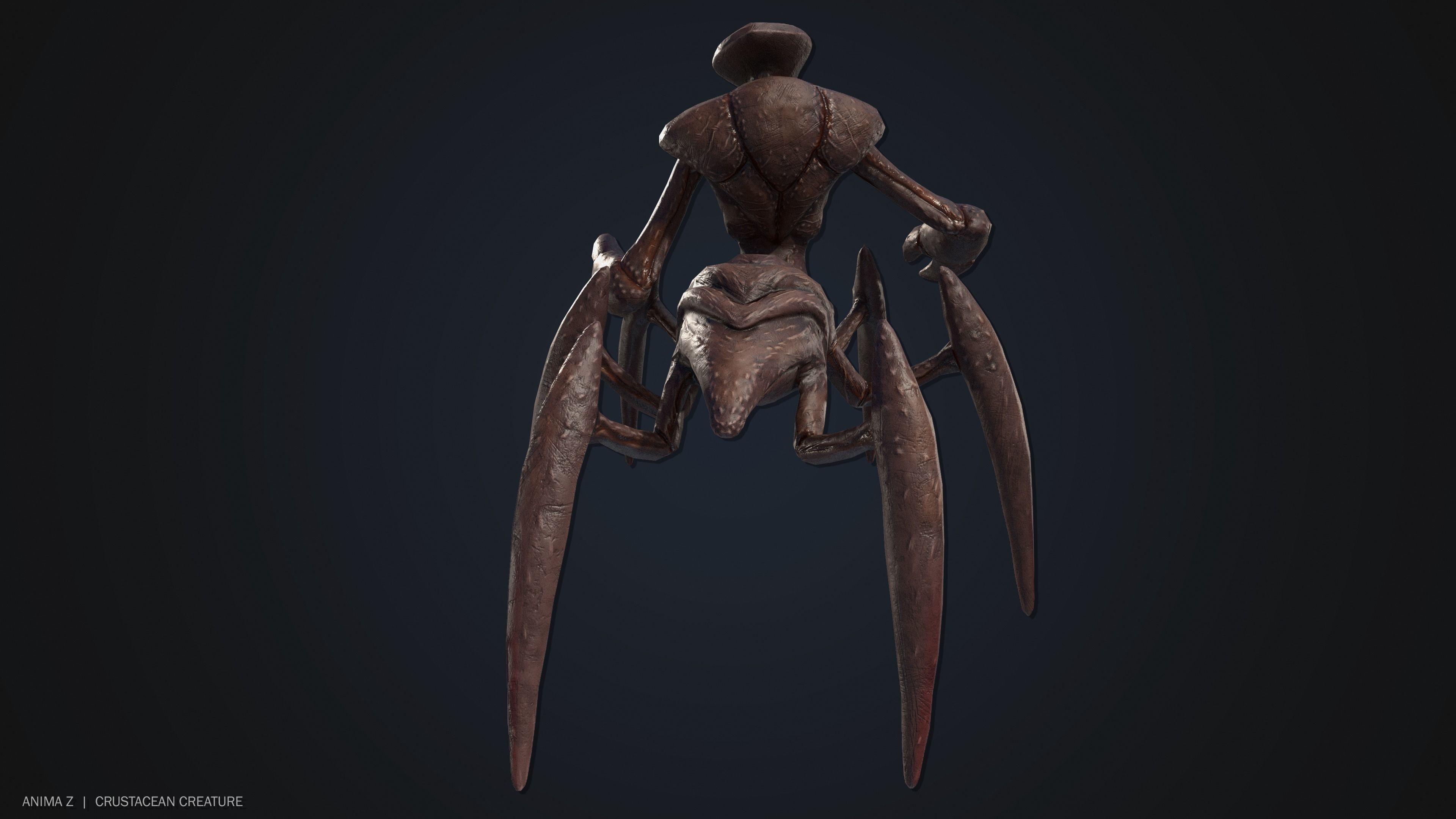 Crustacean creature Low-poly 3D model_9