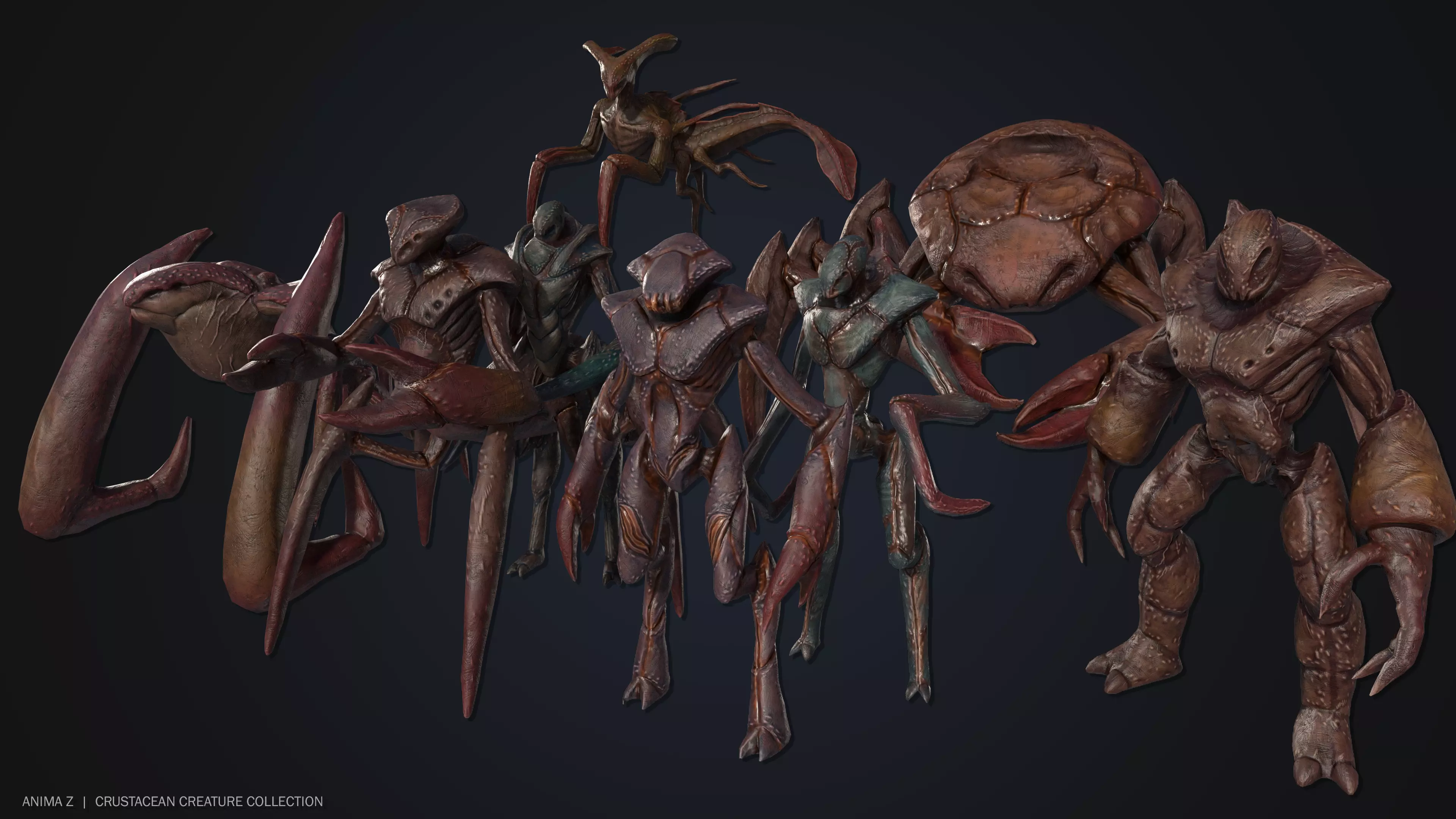Crustacean creature collection _0