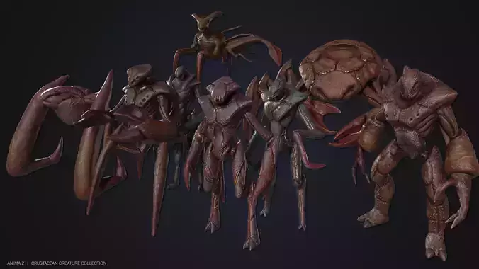 Crustacean creature collection 