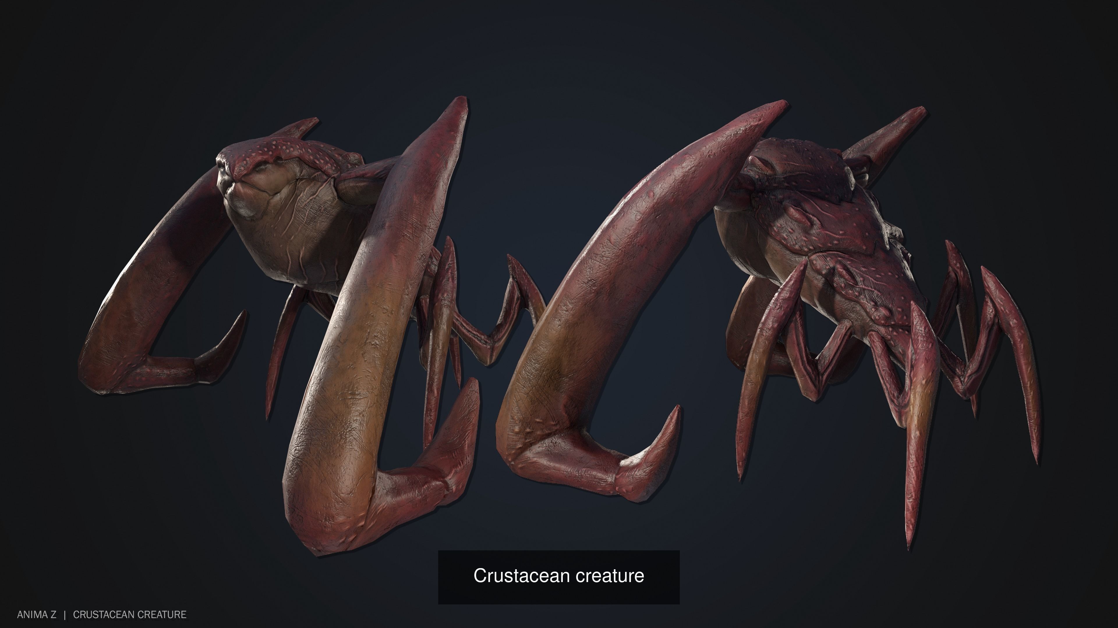 Crustacean creature collection _7