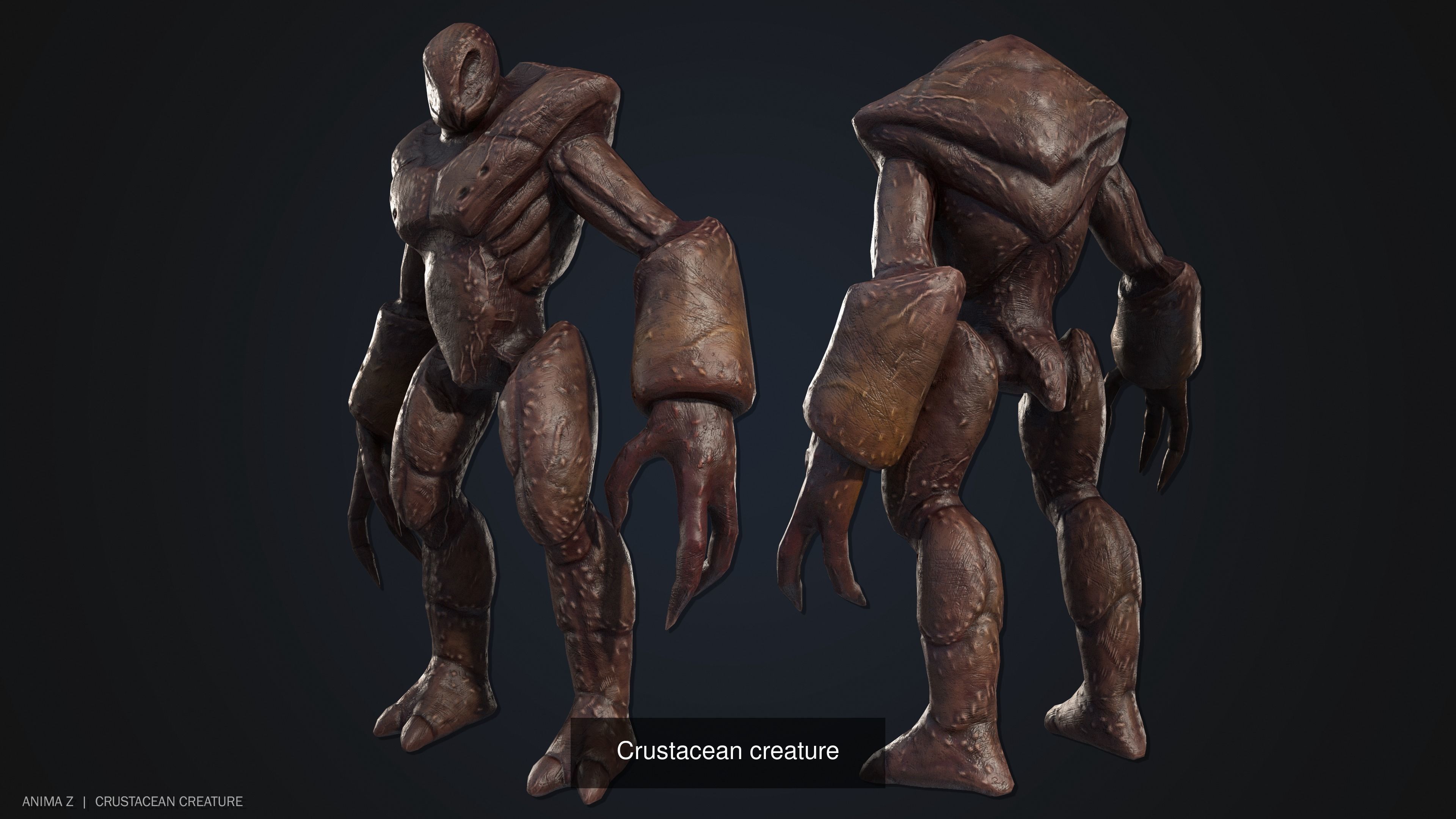 Crustacean creature collection _6