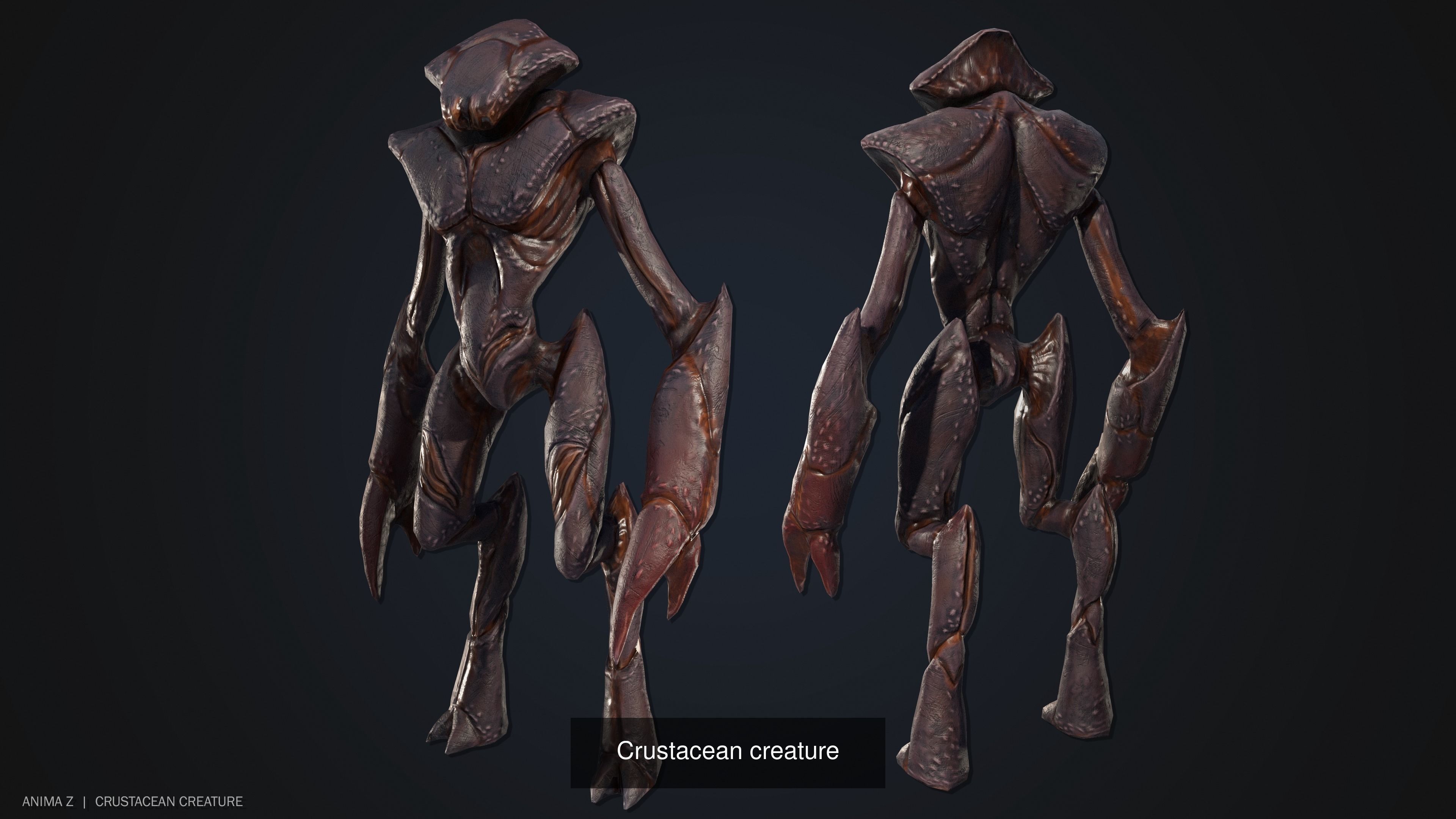 Crustacean creature collection _1