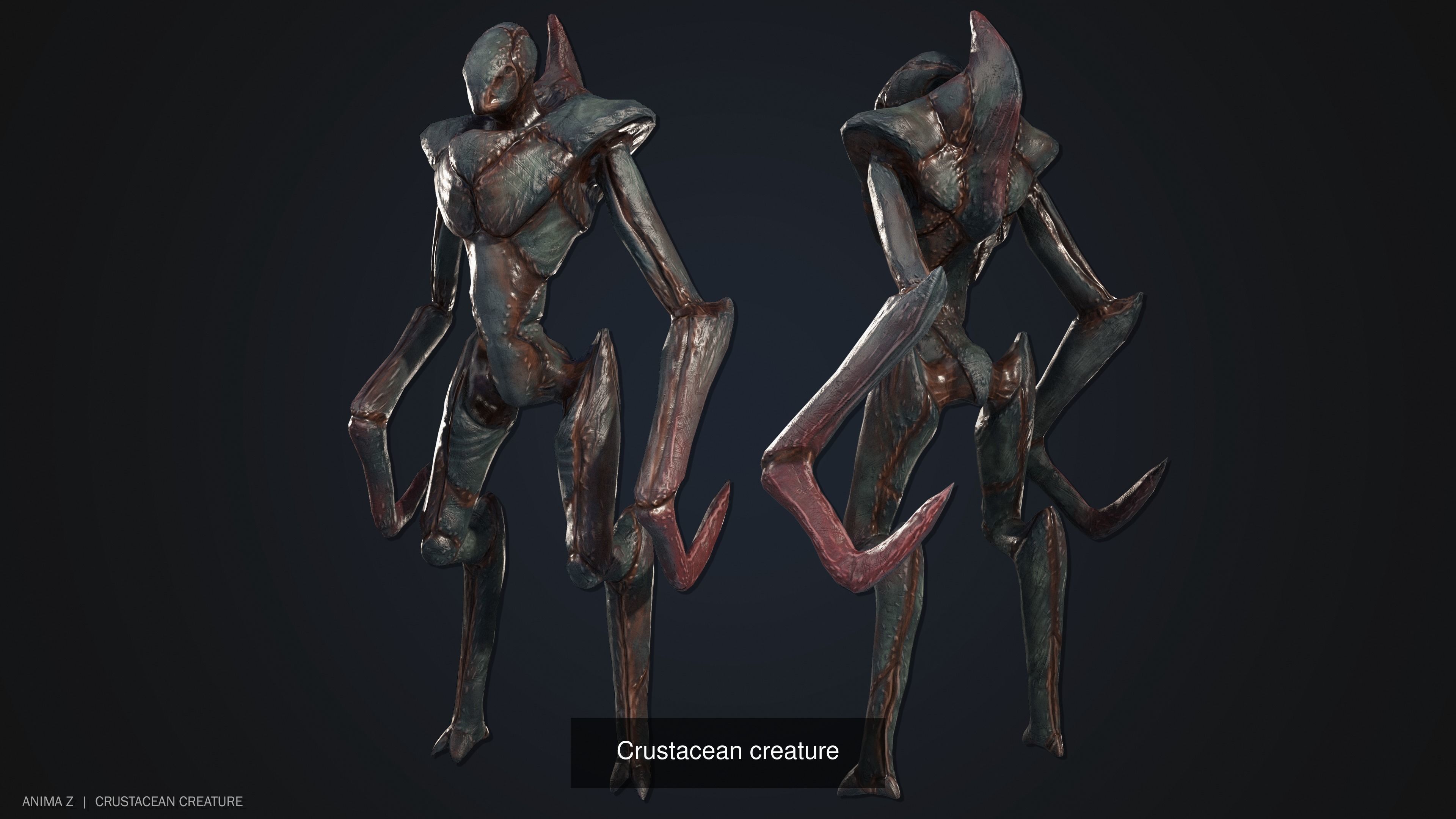 Crustacean creature collection _2