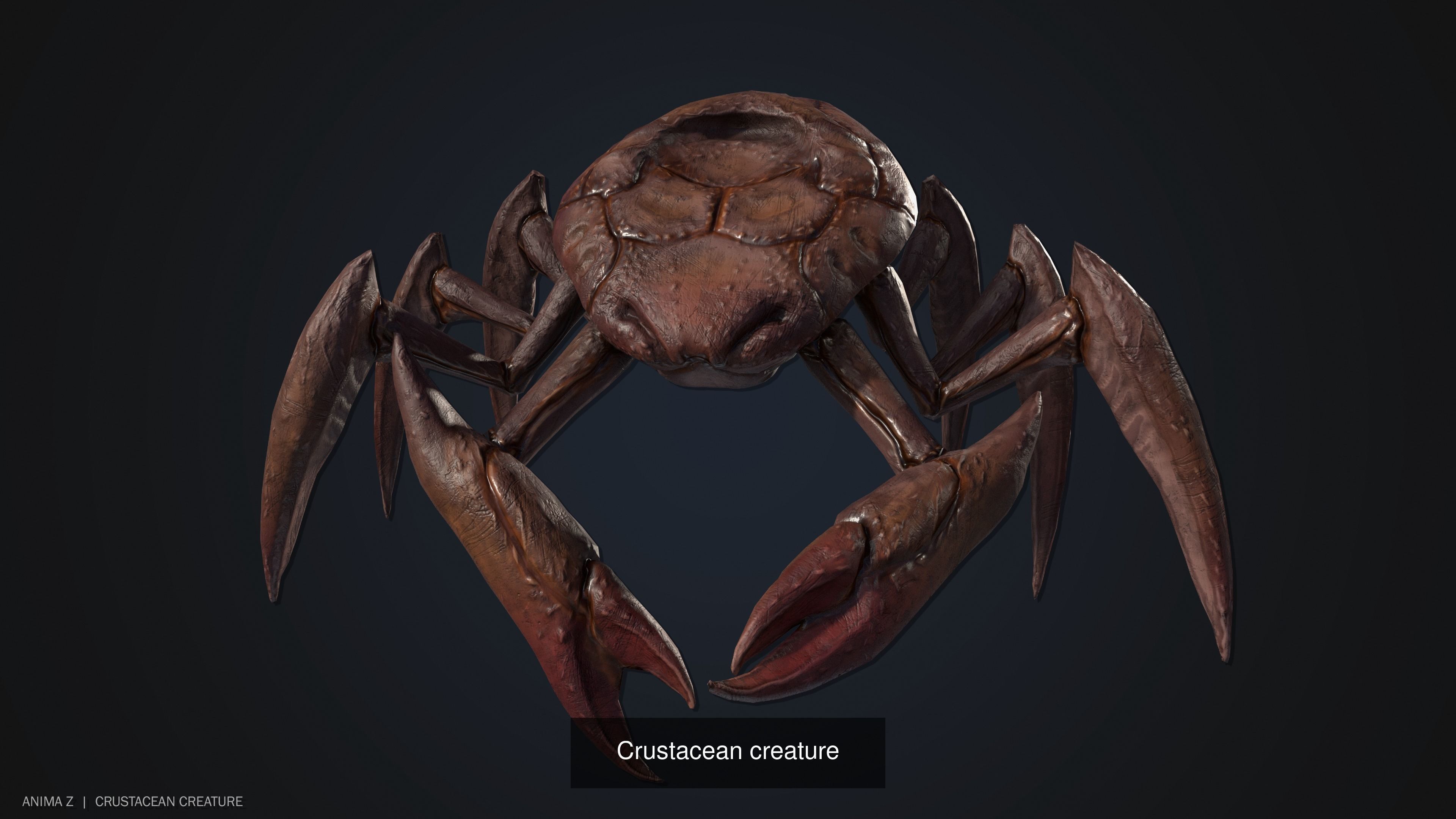 Crustacean creature collection _3