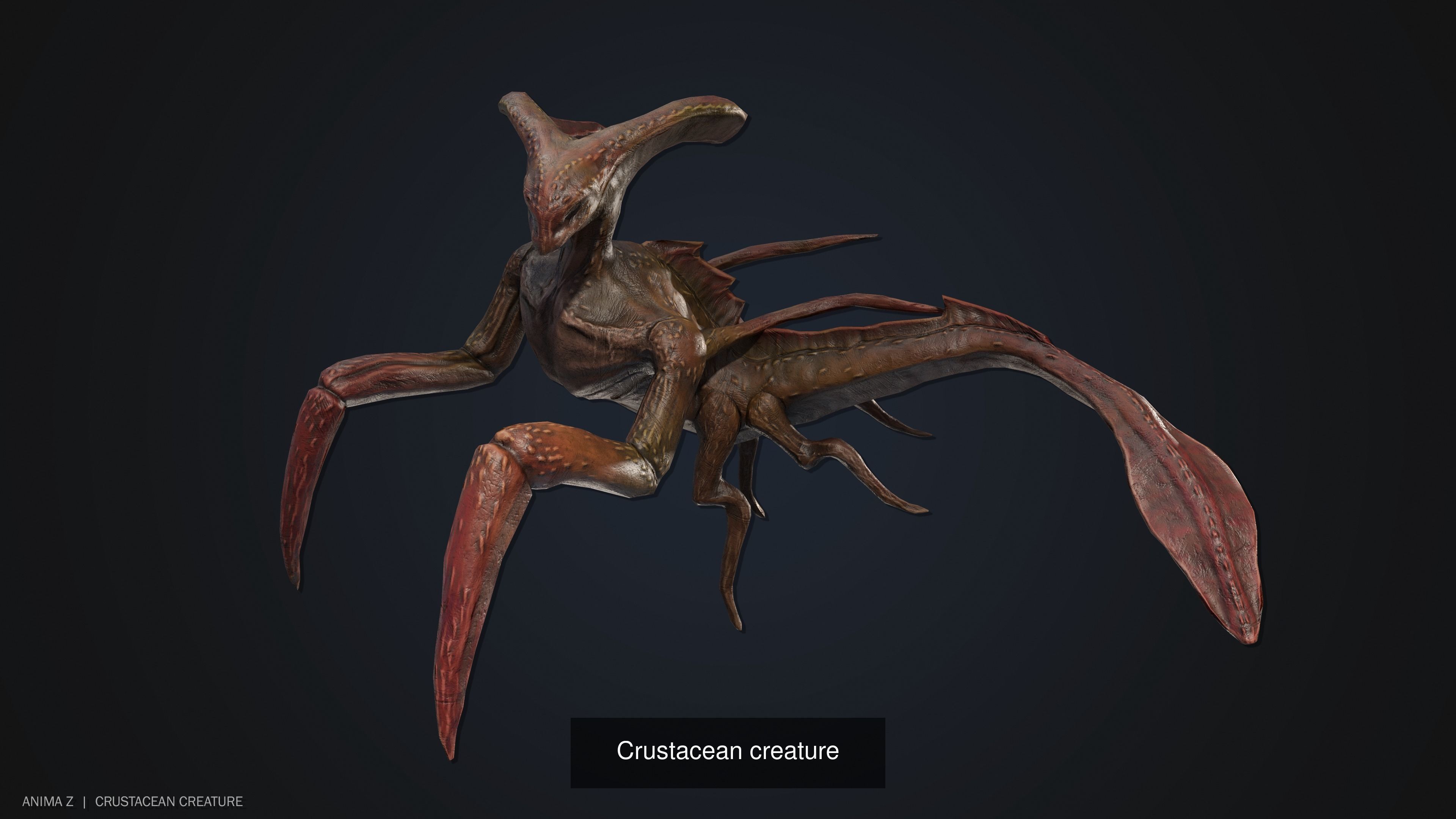 Crustacean creature collection _4