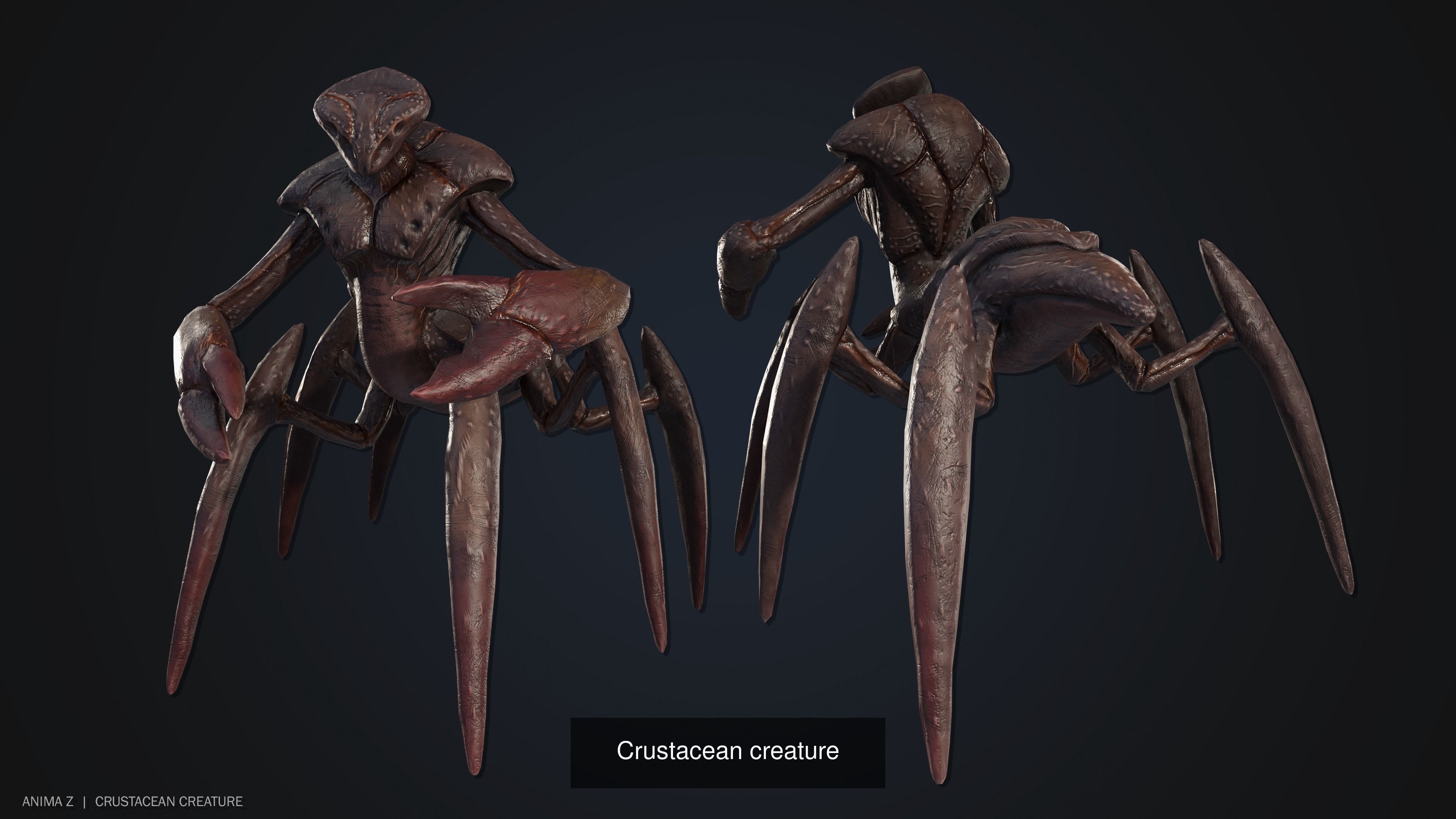 Crustacean creature collection _8