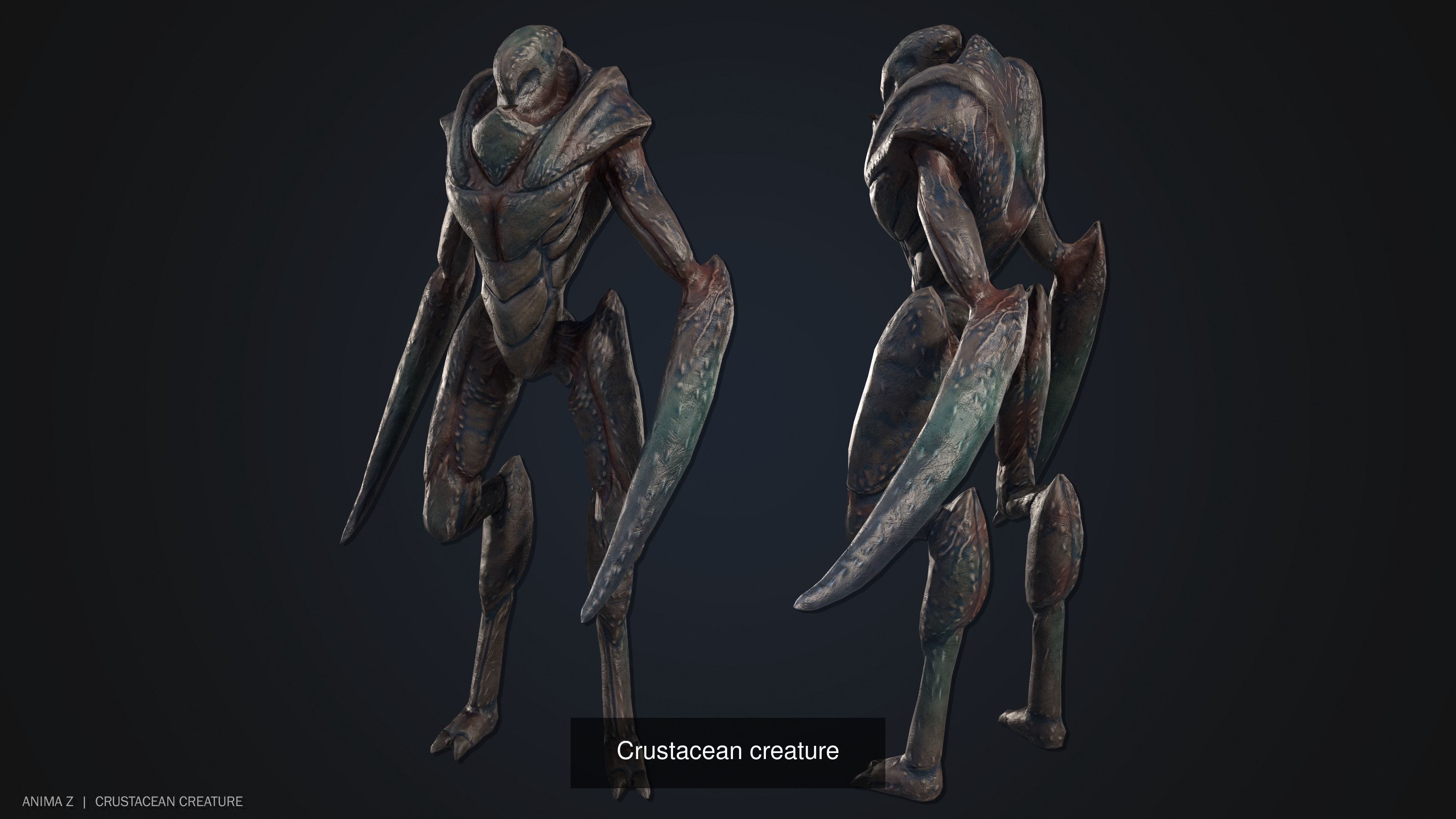 Crustacean creature collection _5