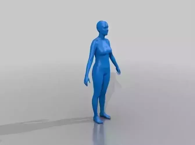 Female body 3D print 1-2 of the real world model 82 cm 3D print model Female body 3D print 1-2 of the real world model 82 cm 3D print model