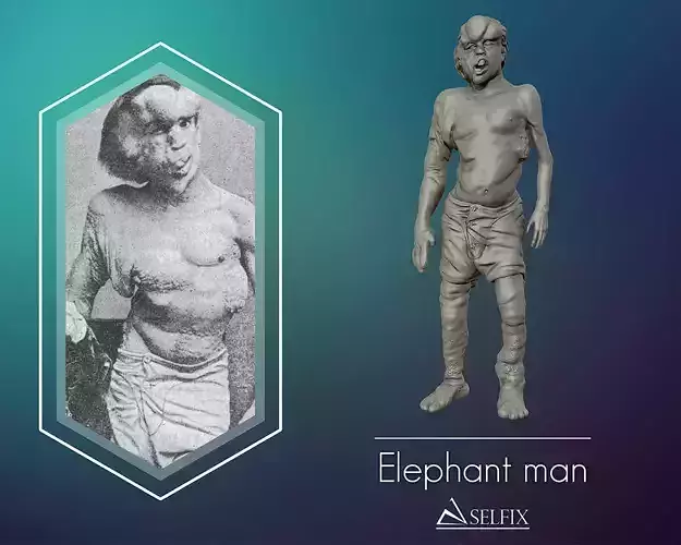 The Elephant Man Sculpture 3D print model