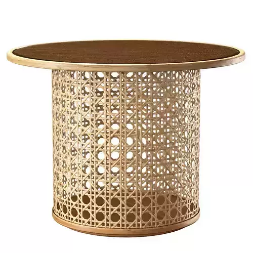 Viliam rattan dining table DR10  3D model