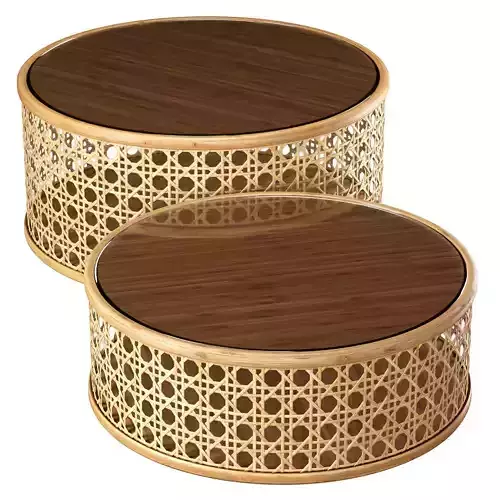 Viliam rattan coffee tables DR97 