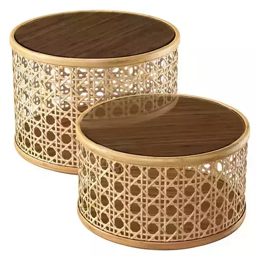 Viliam rattan side tables DR65 