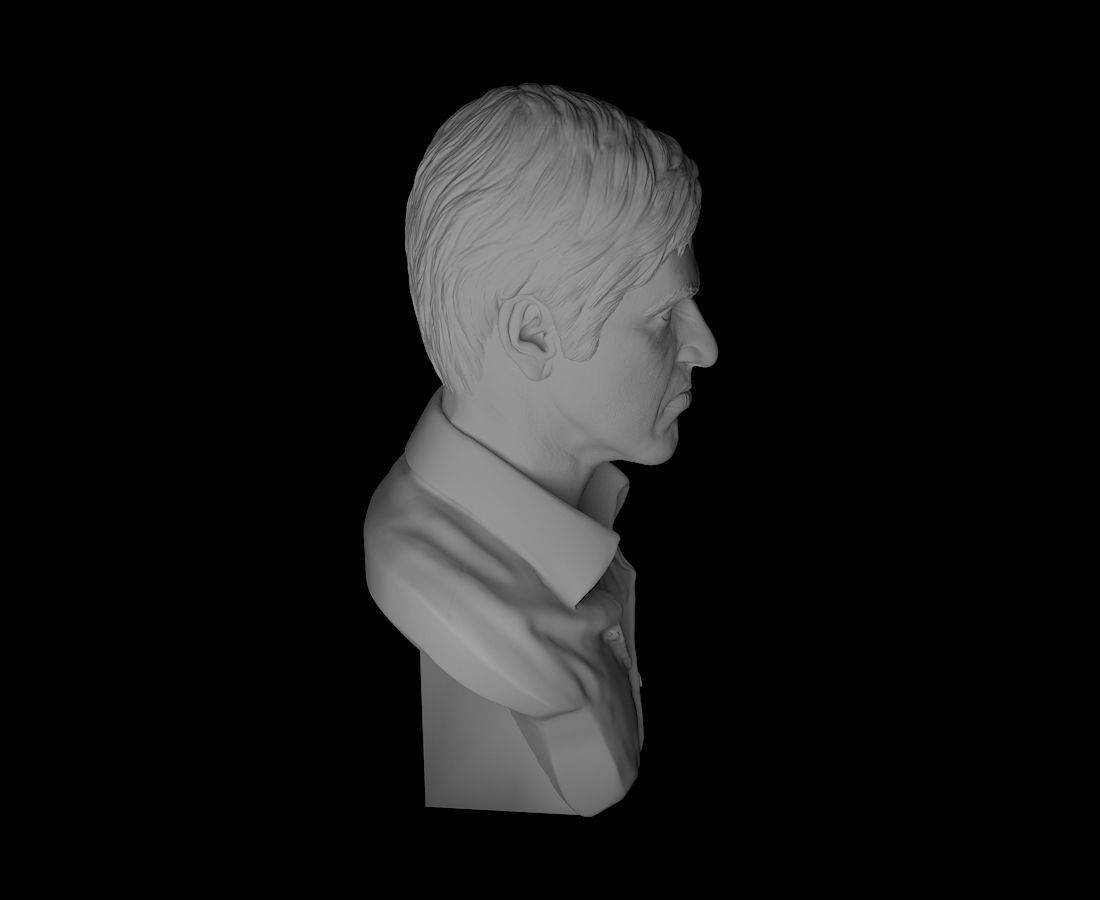 Scarface Alpacino Portrait Sculpture 3D Model 3D Printable CGTrader scarface-alpacino-portrait-sculpture-3d-model-3d-printable-cgtrader