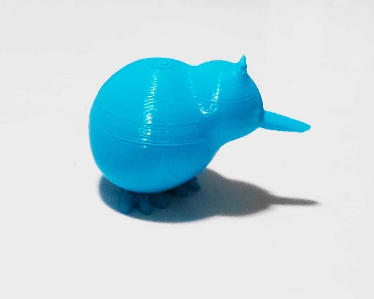 Cute kiwi 3D print model_10