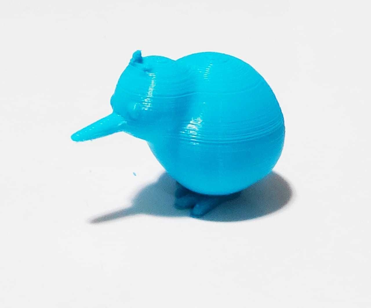 Cute kiwi 3D print model_3